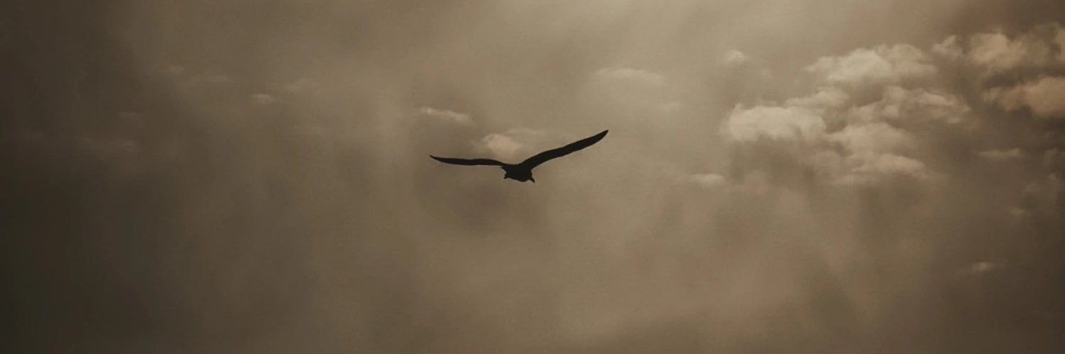 𝒥𝑜𝓊𝒹 banner