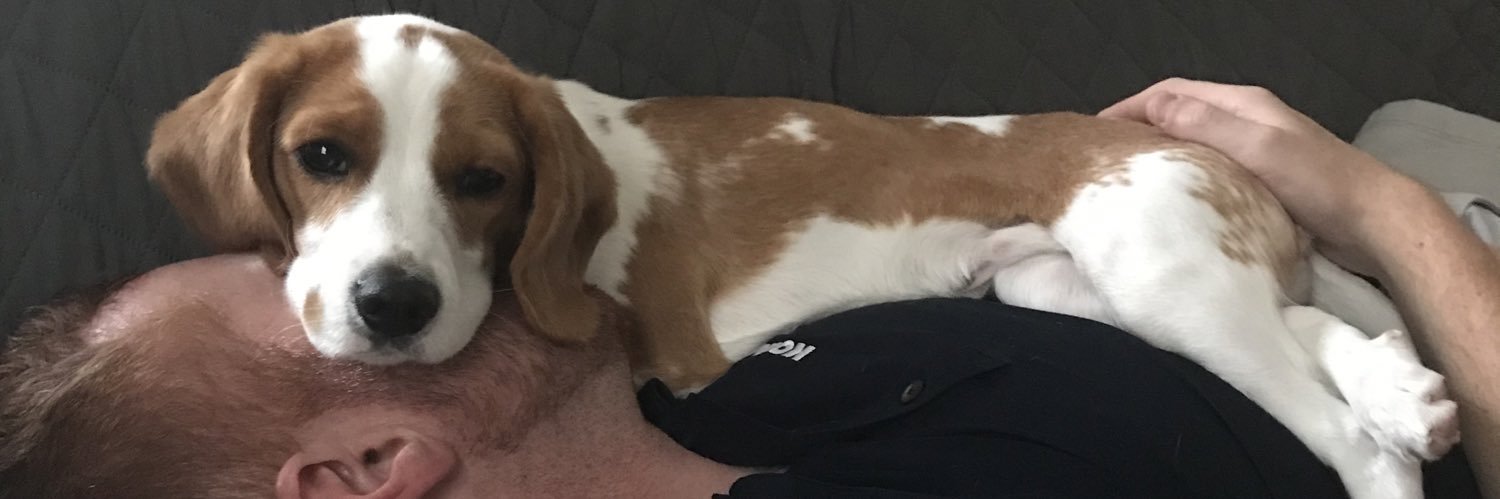 alanmcb's profile banner image