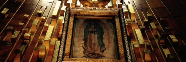 MarcoJacques7 banner