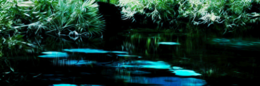 itsjadeallgdr's profile banner image