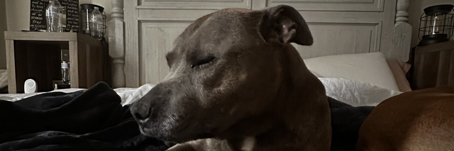 sydwwalker's profile banner image