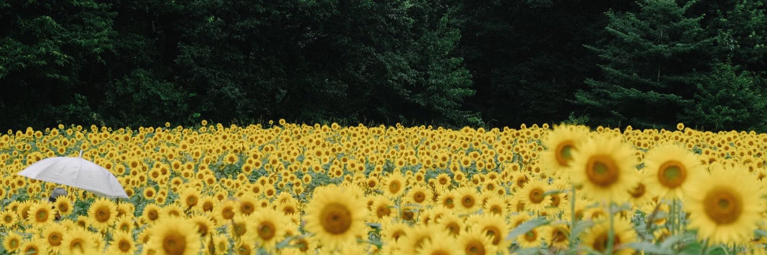 PPPPPSmile's profile banner image