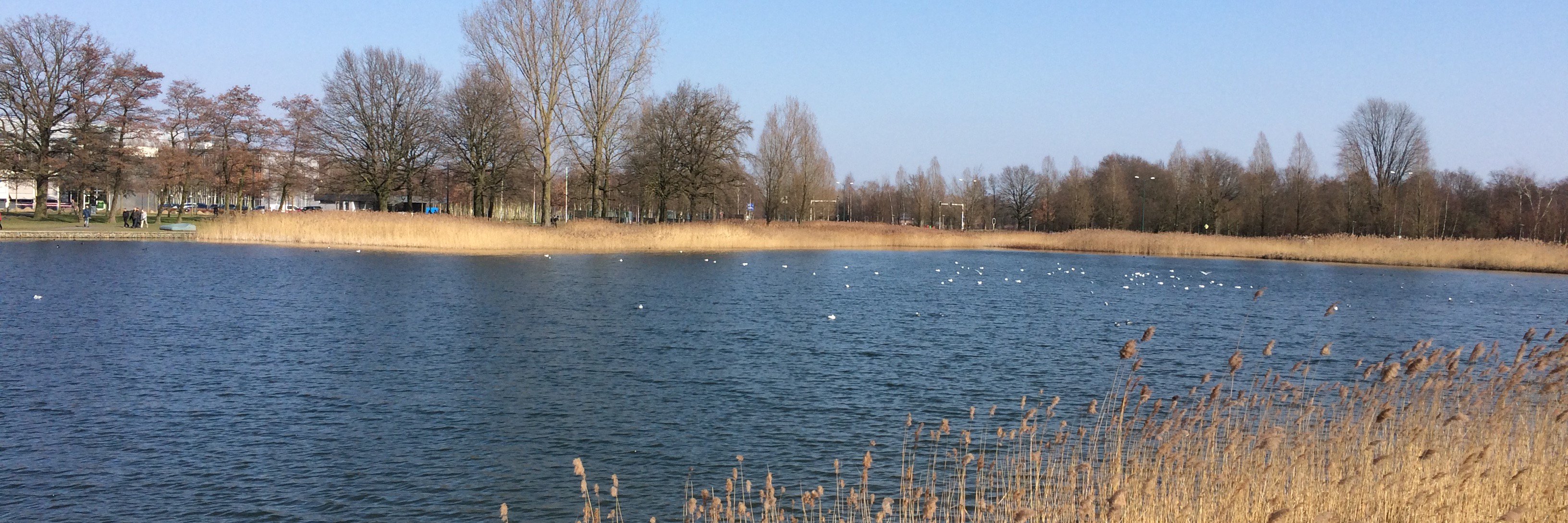 Folkert Huysinga banner