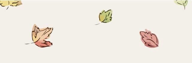 clao_b's profile banner image
