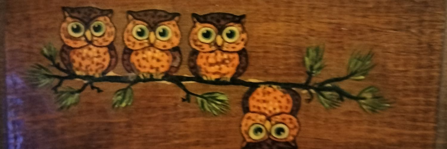 AR15owl's profile banner image