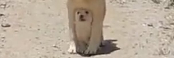 0bbbbbbb's profile banner image