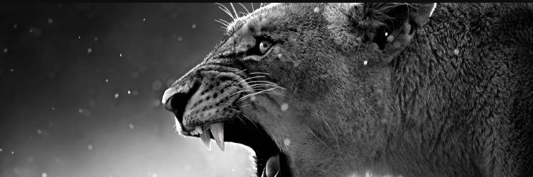 Patrick_Cripps's profile banner image