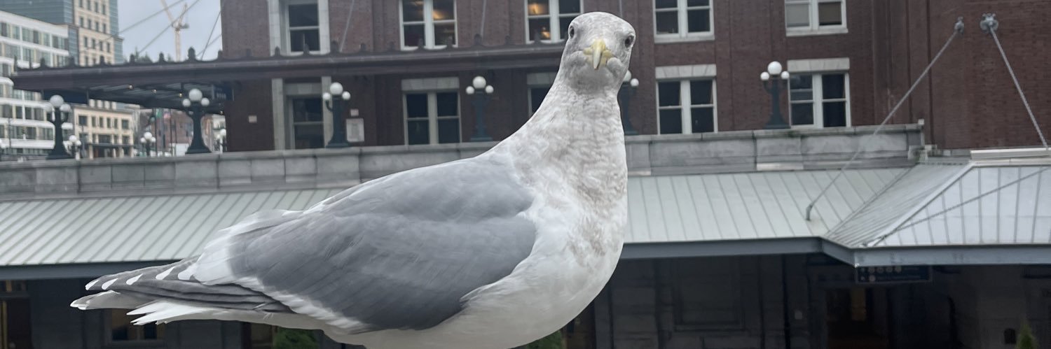 AlleighWeems's profile banner image