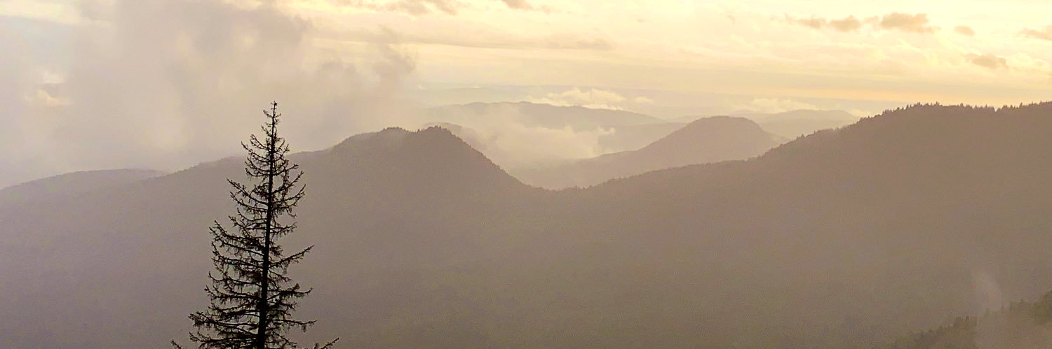 mini_dino_02's profile banner image