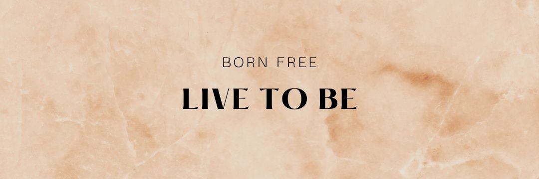 Mr Siyabulela banner