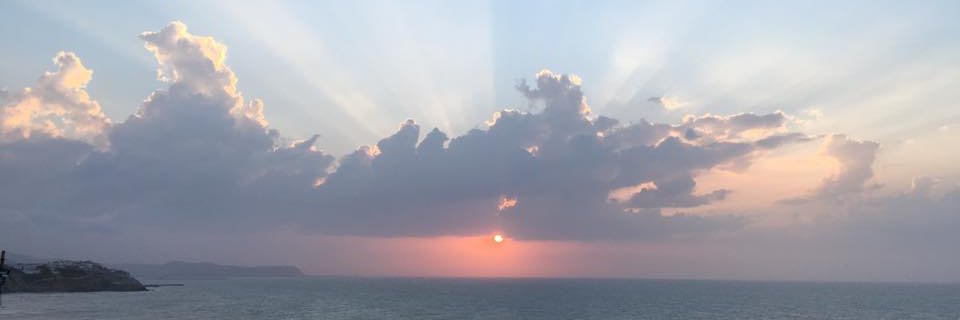 timuffee's profile banner image