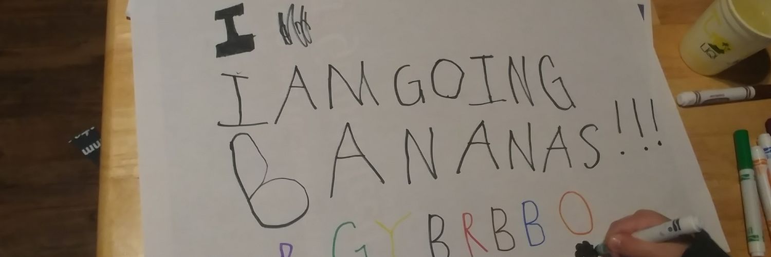 sanderaSTL's profile banner image