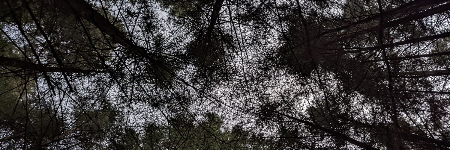 PlugInRichi's profile banner image