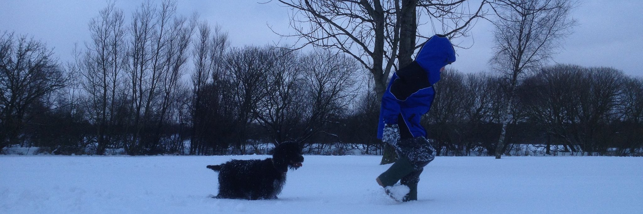 Mike Stephenson (aka AJ's Dad) Azure MVP banner