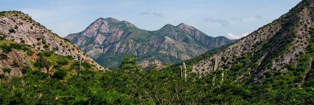 albertogalindor's profile banner image