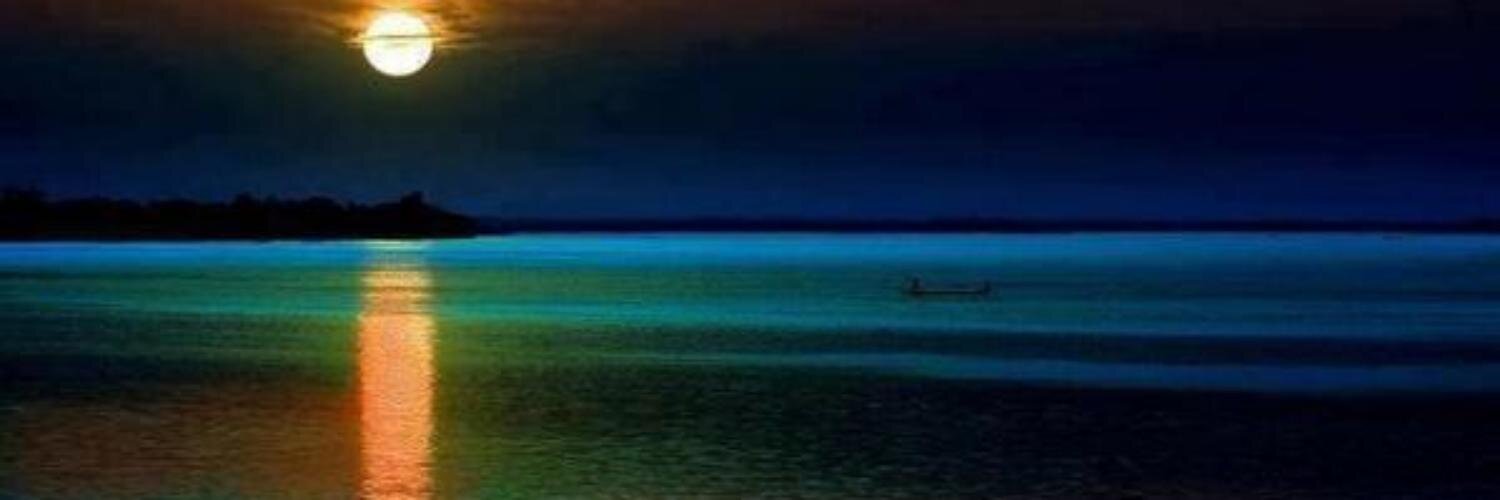 Venere 781 banner