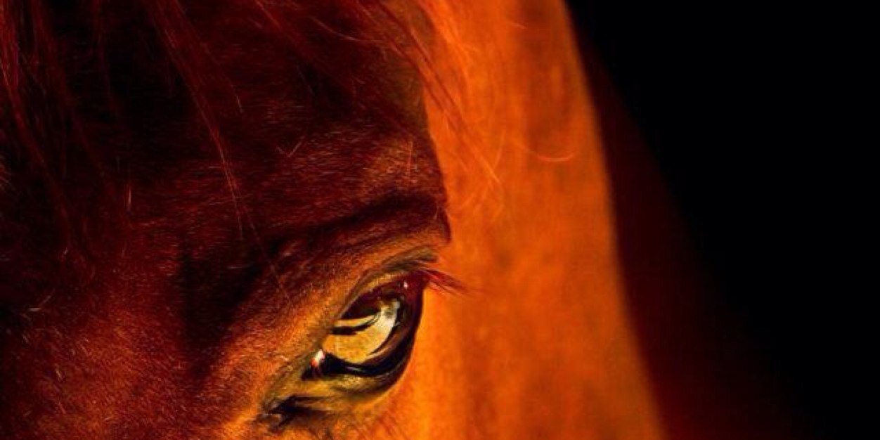 ilkersbacak's profile banner image
