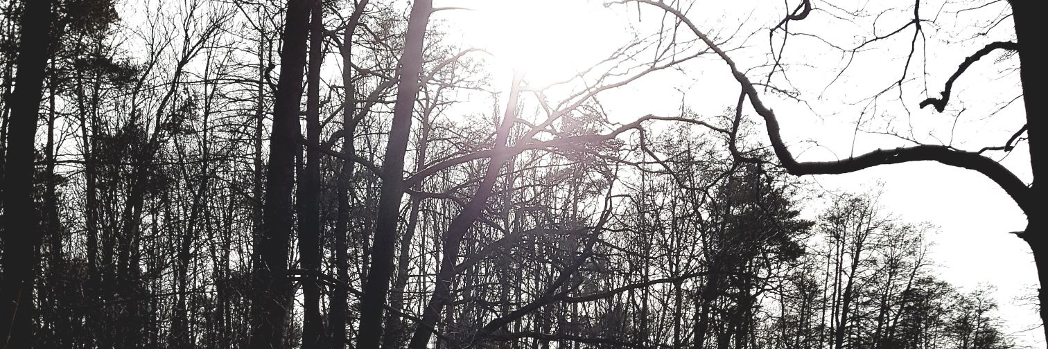ObnoxiousPengui's profile banner image