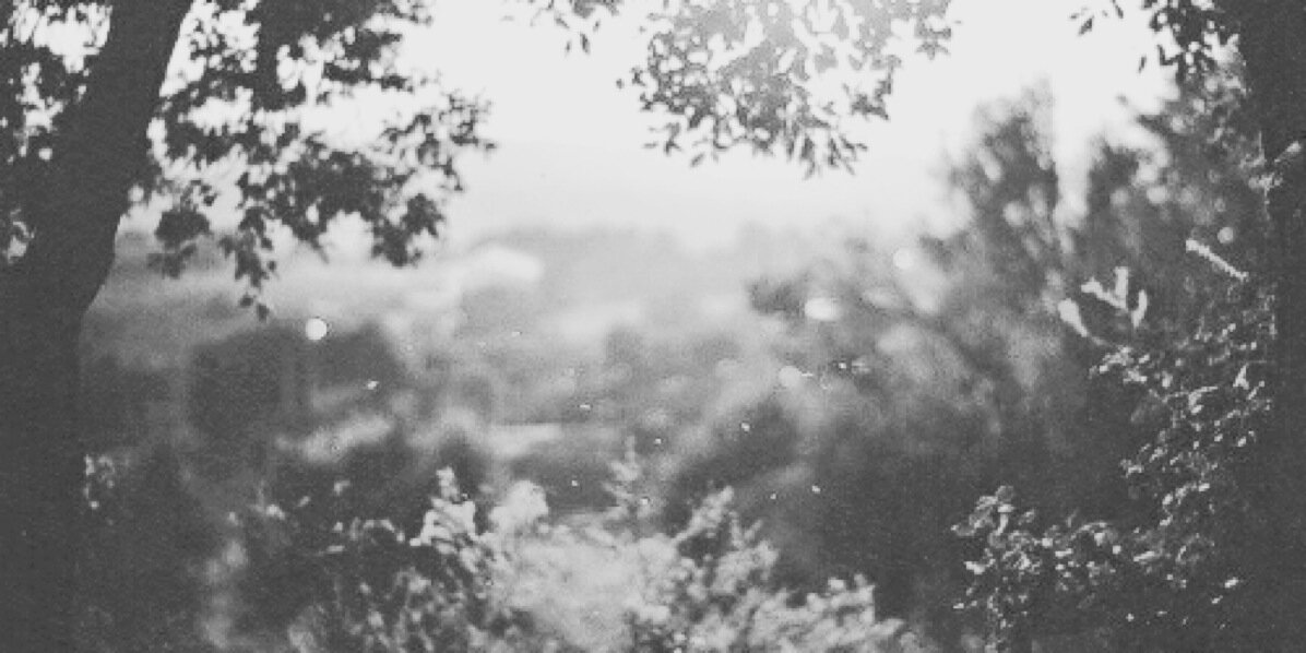 phanalogy's profile banner image