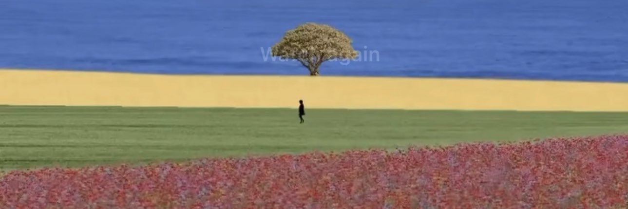 alexxboylan's profile banner image