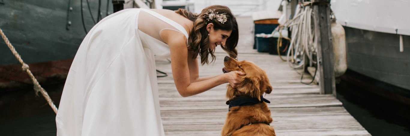 allyperl's profile banner image