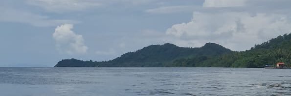 Raffaelzenobia's profile banner image