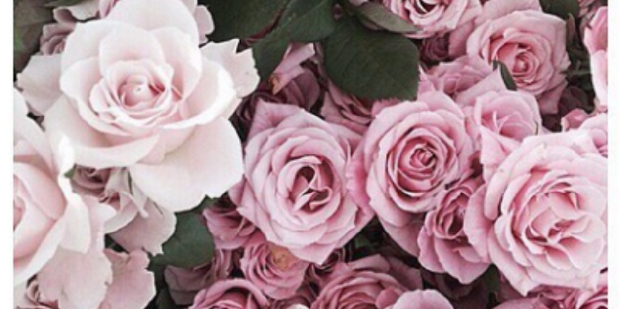 BethanAnderson's profile banner image