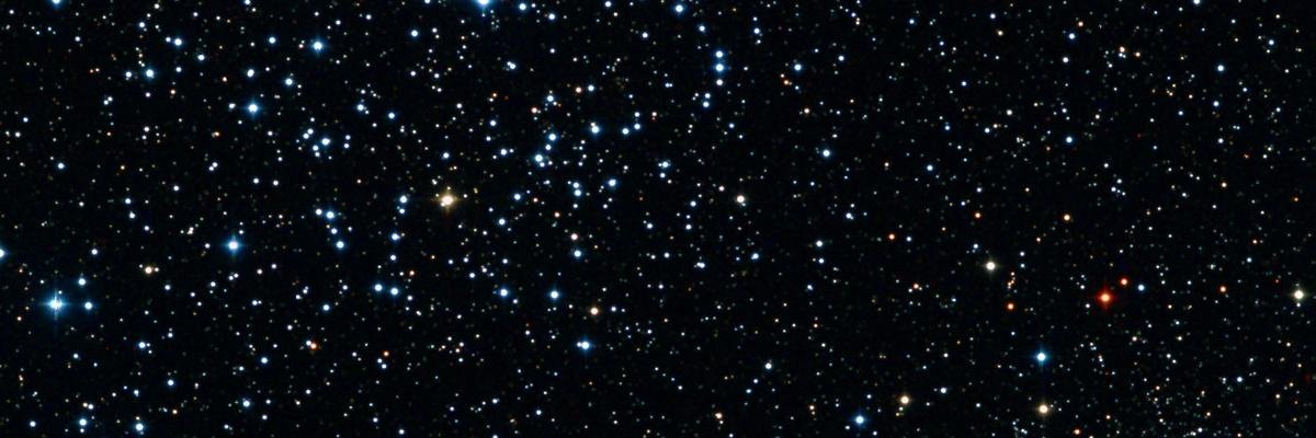 chelledore's profile banner image