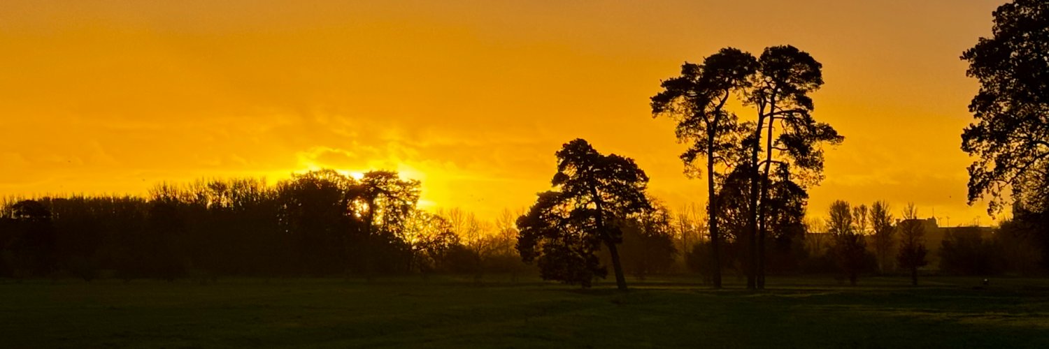 uw353529's profile banner image
