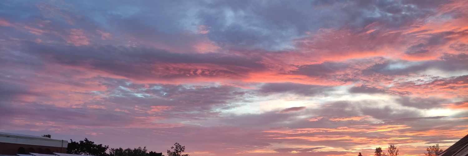 Raynel_16's profile banner image