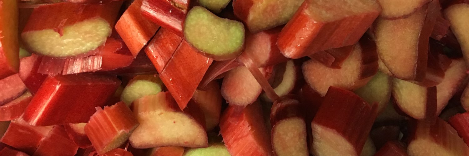 Adam Bernbach banner