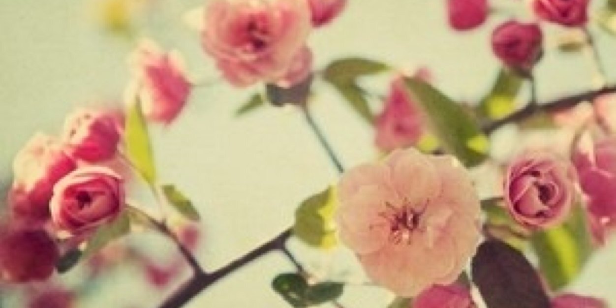 Danique__xx's profile banner image