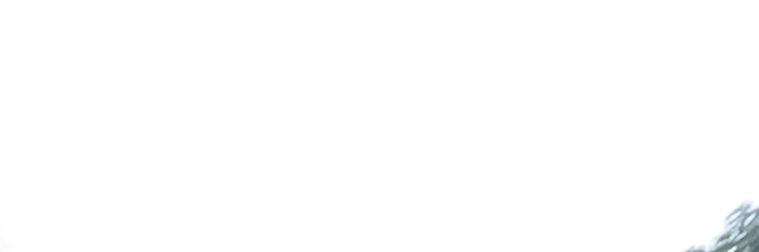 cohesa_ banner