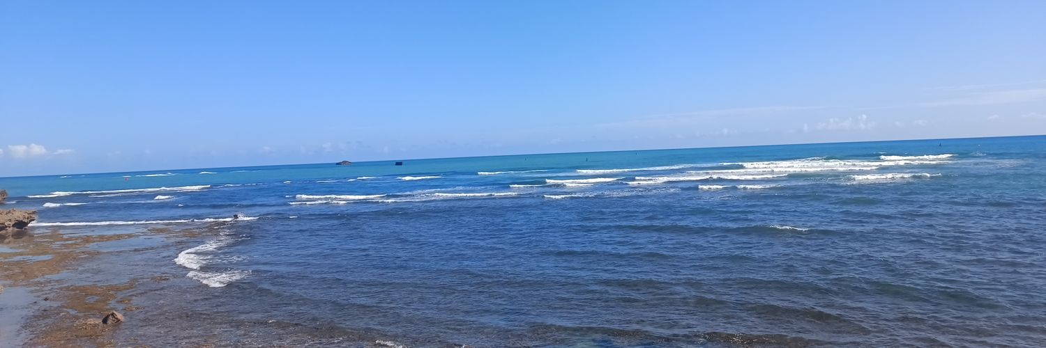 trini ❤️ banner