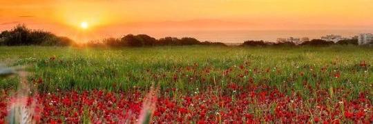 claudiabasso_ge's profile banner image