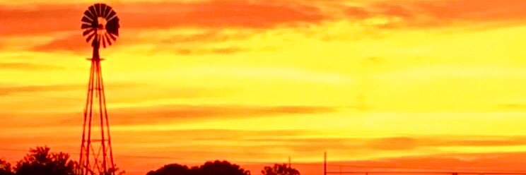 Robynz_Sense's profile banner image