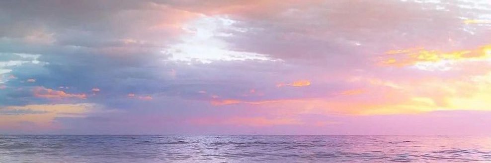 MsChloe's profile banner image