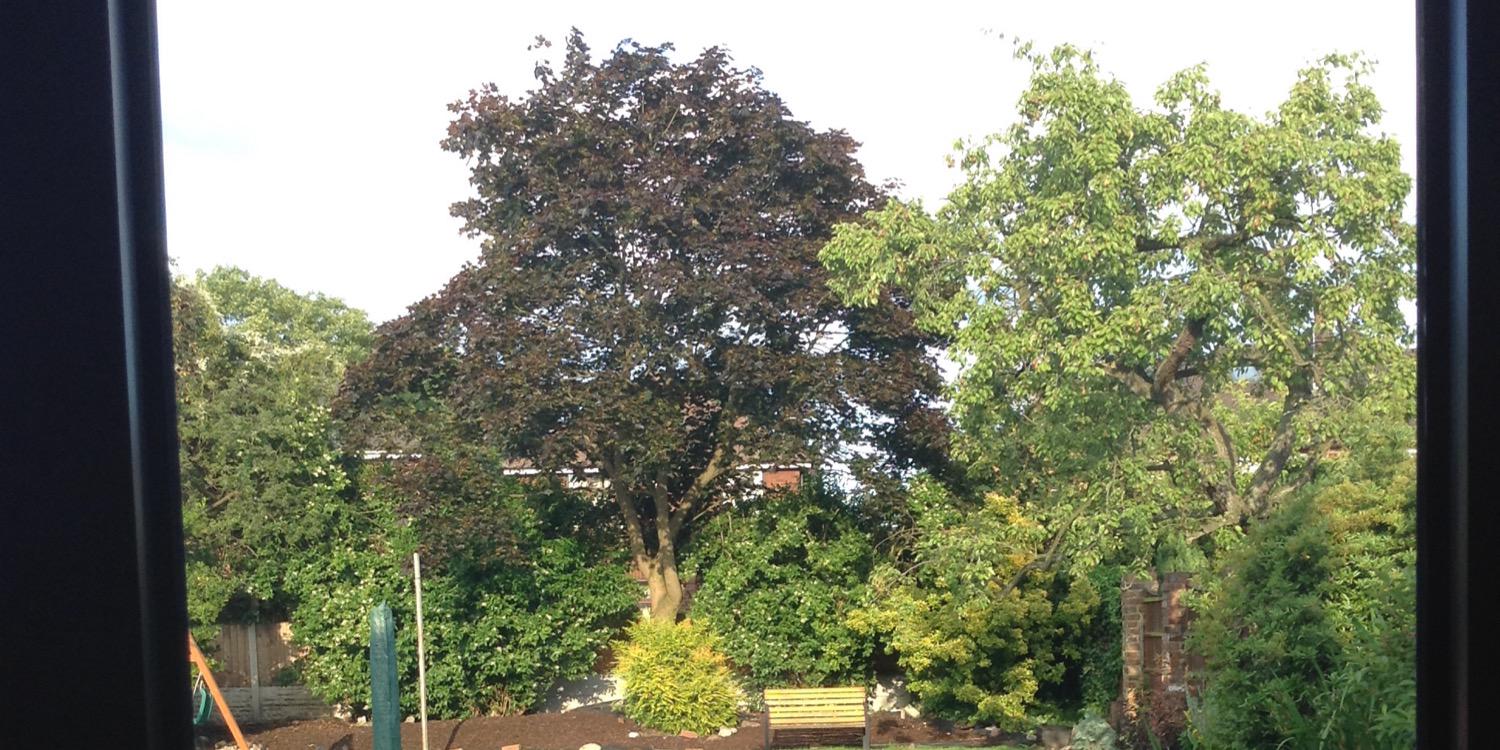 Lynsey Jeffers banner