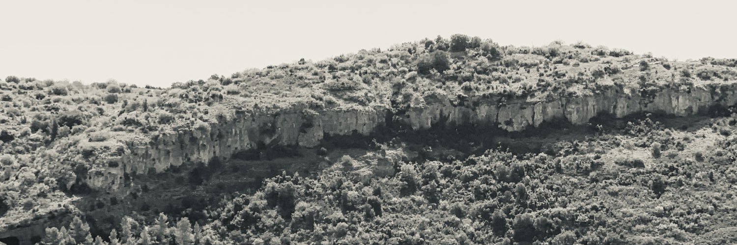 tradingbrut's profile banner image