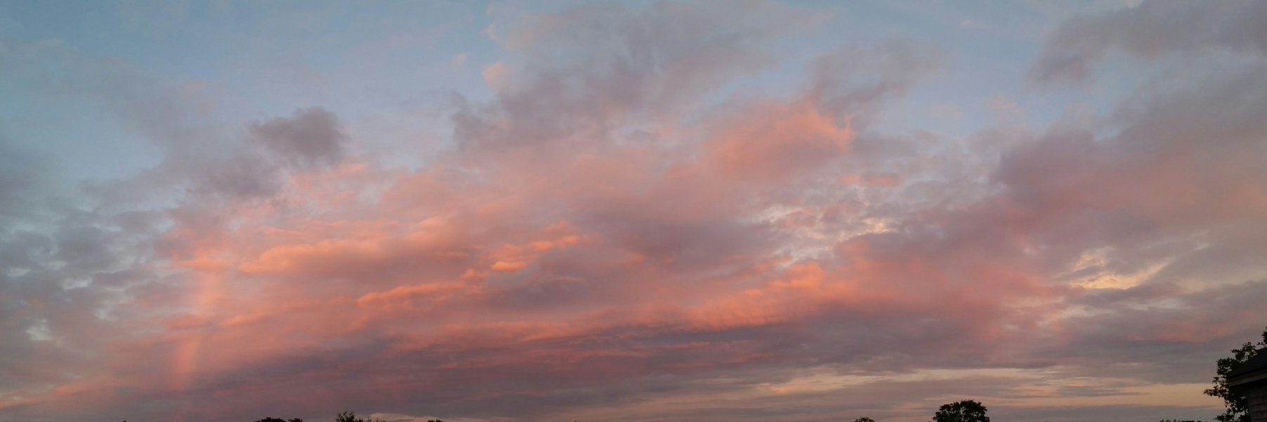 Matthew Tratner banner