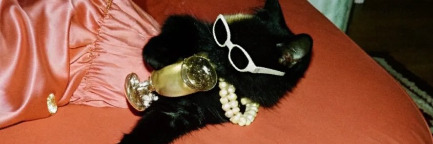 bbl mccarthyism banner