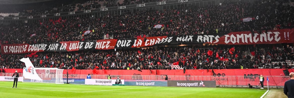 🦅 banner