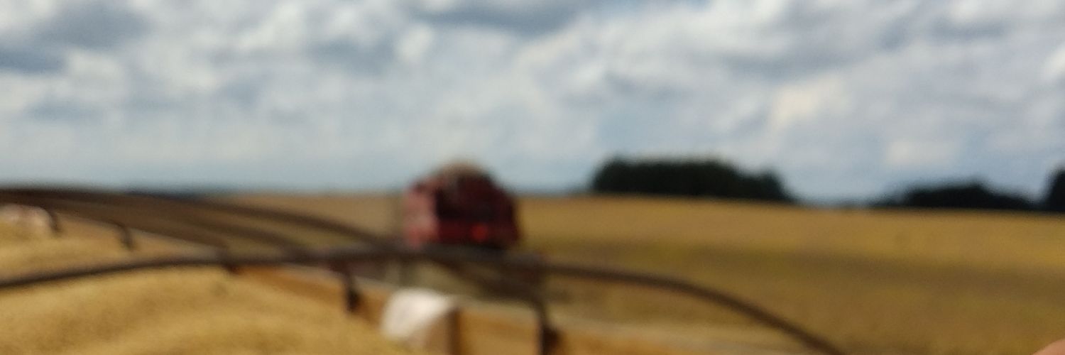 thiagofpe's profile banner image