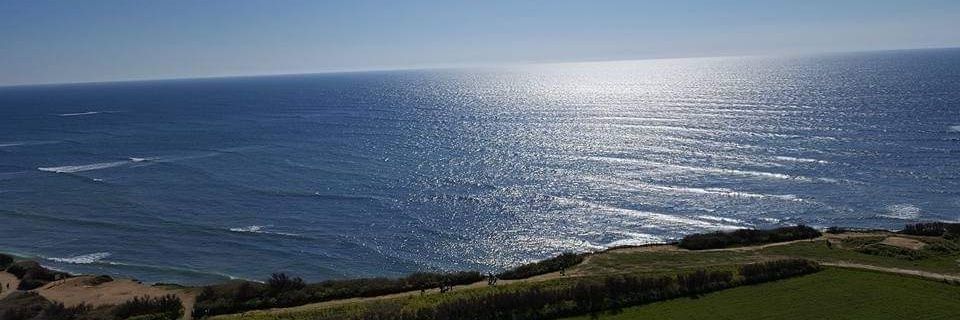 lallieSD's profile banner image