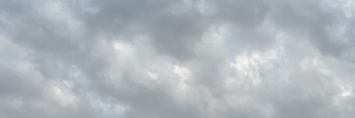 n_00f1's profile banner image