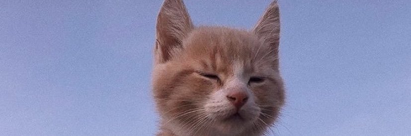RodriDiiaz's profile banner image