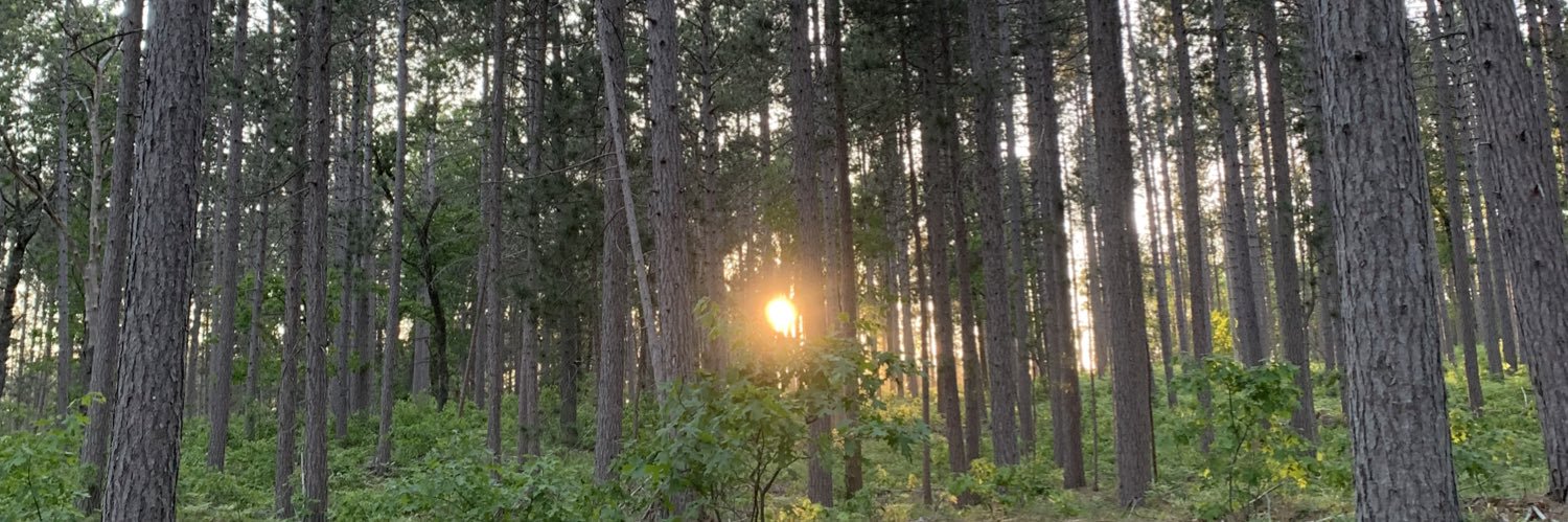 mhelewski's profile banner image