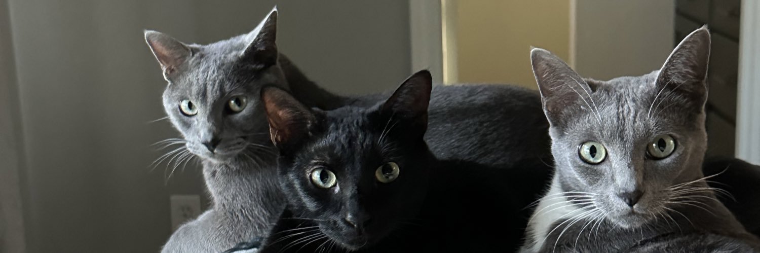 schapmaannn's profile banner image