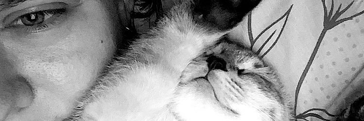 scheree's profile banner image