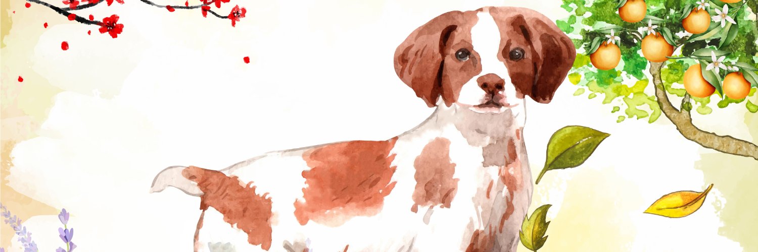 K9Organics's profile banner image